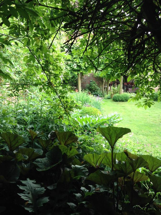 B&B Radijs Beegden Dış mekan fotoğraf